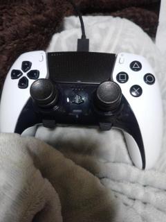 おはようございます！