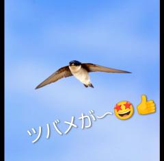 ご主人様いらっしゃい 大分店(大分市) リサ♡三川限定