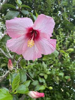 昭和（沖縄・完全個室プライベートエステ）　仲間真理子