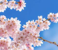 日曜日ですが‼️