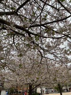 週末最後?=は♪?