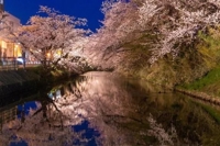 momo♥霧島店　新人♡さゆきちゃん