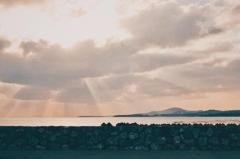 おはようございます?