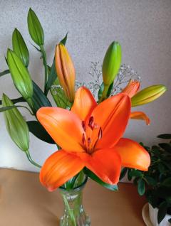 朝だょ〰️✨🌈