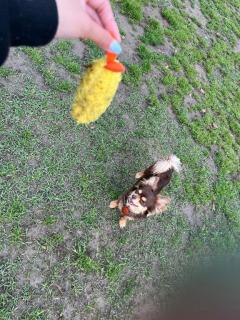 CLUB LUMINE(中津市) Haru【ハル】