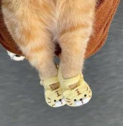 こんにちは(?????▽?????)