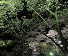 やっと落ち着き