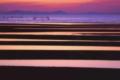 こんばんは〜🌃