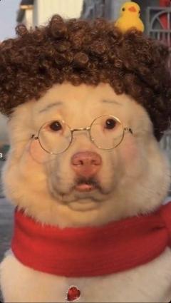 こんばんは(?????▽?????)