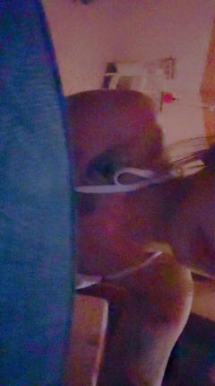 ありがとう(*^^*)