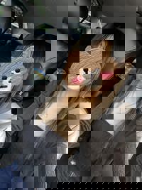 おはよーございます！