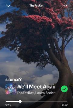 高級レストラン2品目??