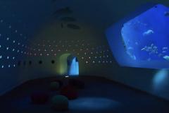 こんばんは〜🌃