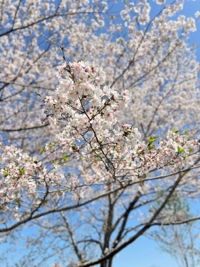 追いついてない…