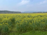 仕事終わりに癒されたいおにいさま