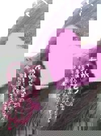 宮崎ちゃんこ中央通店　るあ