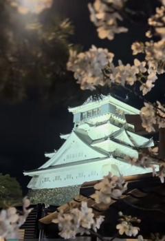 JaPON　真澄ﾏｽﾐ良い値コース！