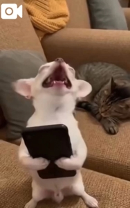 薩摩♂風俗の神様鹿児島店　あさひな