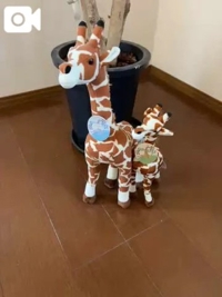 ドジャースウグイス