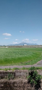 お母さん思いあなた～