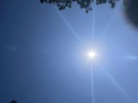 お疲れ様です！