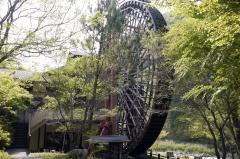 おはようございます〜🌅