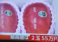 ㊗️解禁🥭太陽のタマゴ💖