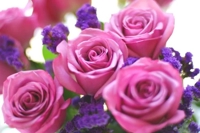 待ちナビ　しずく