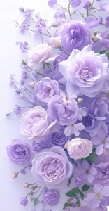 待ちナビ　しずく