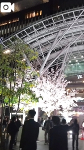 待ちナビ(福岡市) かれん