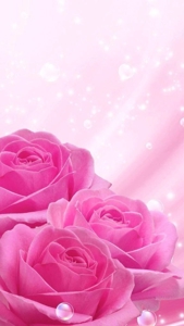 待ちナビ　しずく