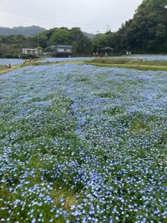 準備してます。
