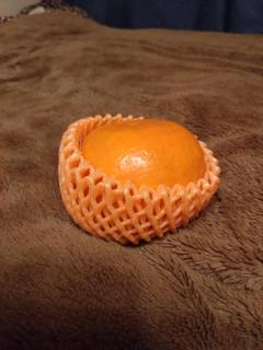 みかん🍊