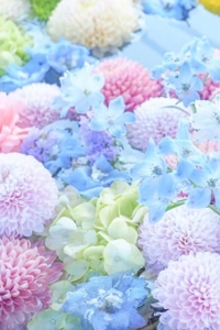 待ちナビ(福岡市) しずく