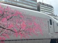 午前中にリハビリ(≧∀≦)