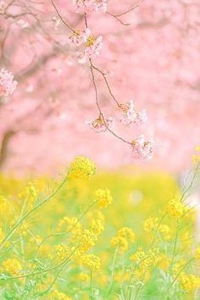 待ちナビ(福岡市) しずく