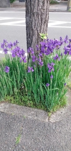 受け付けを終わらせて頂きます