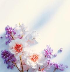 おはようございます??