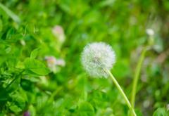 出勤しました??