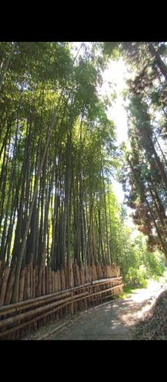 おはようございます。