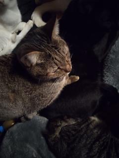 こんにちは👋😃