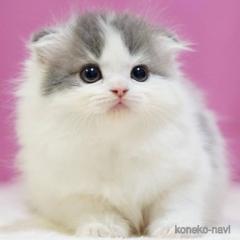 雨の日なので…?