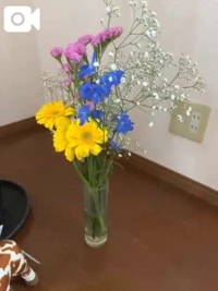 ドジャースウグイス