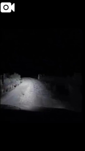 【無料】朝比奈コスプレ集！！