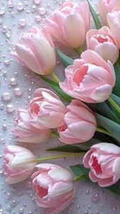 待ちナビ　しずく