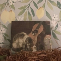 今日もお疲れ様でした