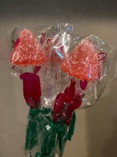 サンシャインのリピーター様