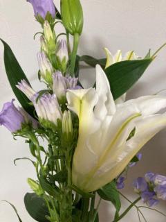 人妻ｒｅ：スタート 宮崎市デリヘル 【体験】平沢あおい 写メ日記「デートコースのリピーター様」