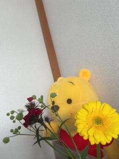 Madam  Cherish　はなえ