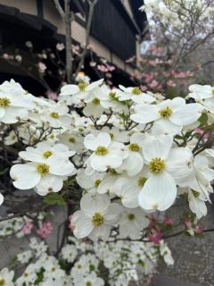 わざとじゃないのよ